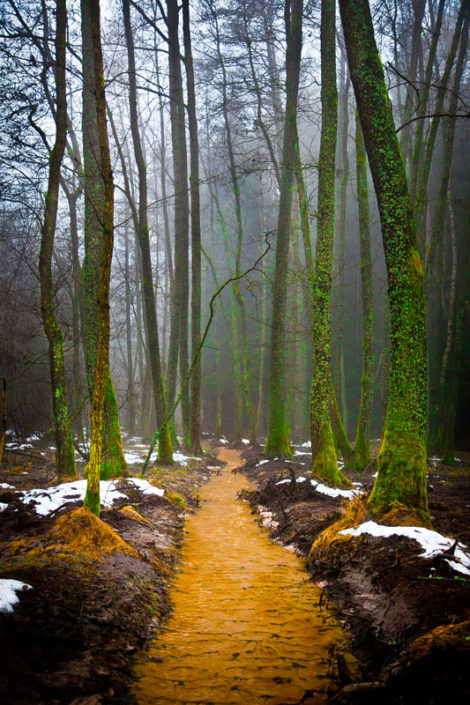 Grafenwöhr, Germany